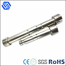 Round Head Special Stainless Steel Polishing Bolt